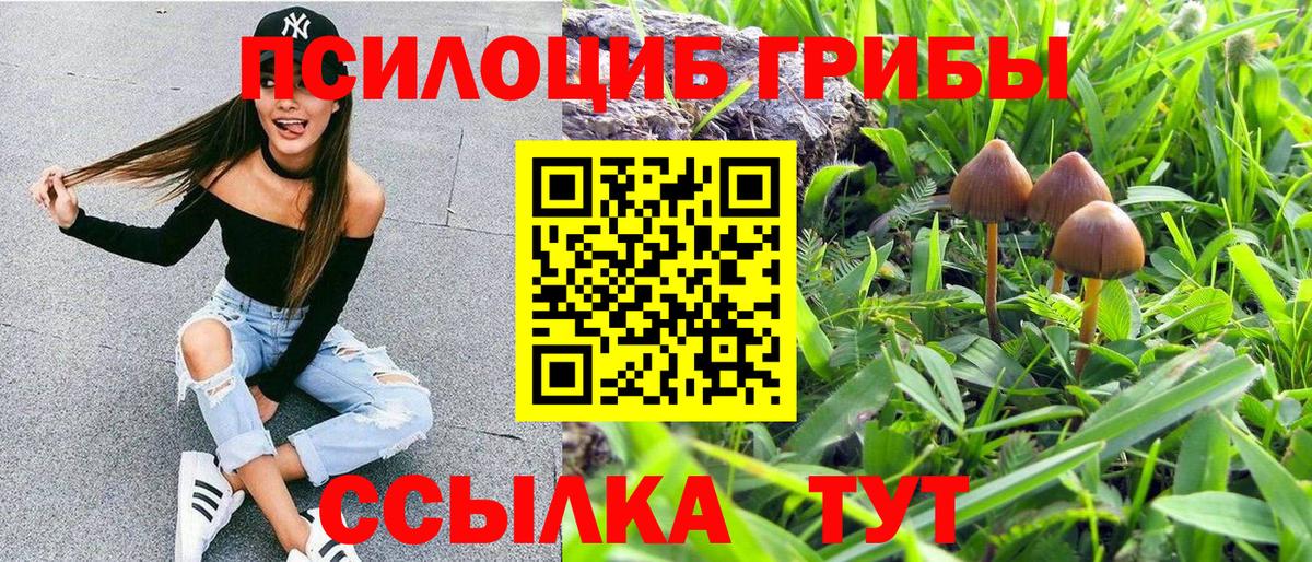 Богданович  Псилоцибиновые грибы прущие грибы  Вход с VPN 