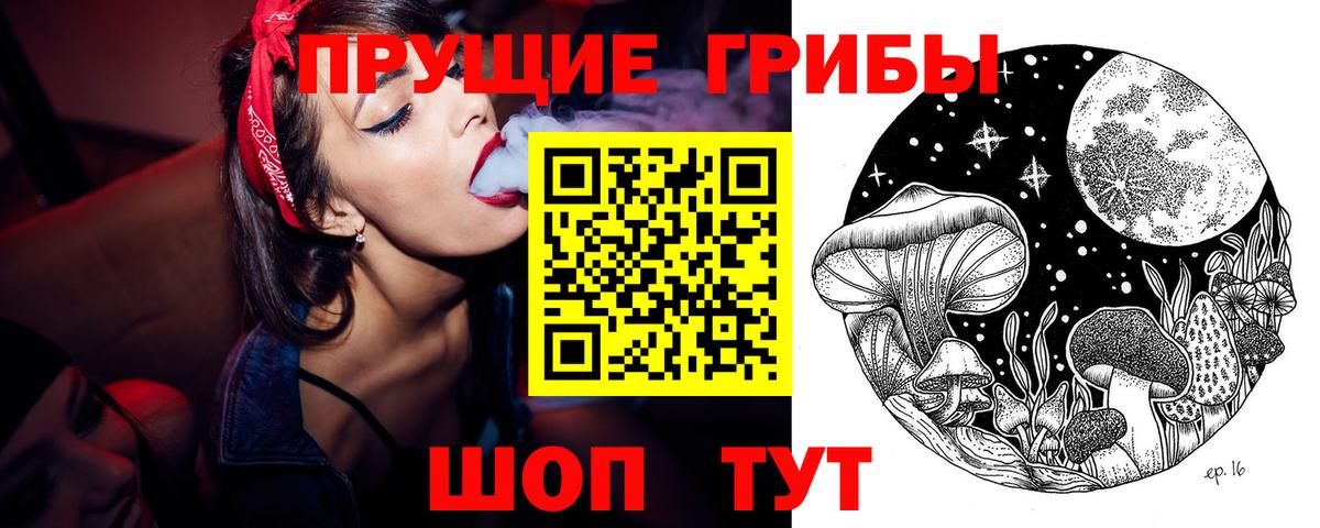 Псилоцибиновые грибы прущие грибы Богданович